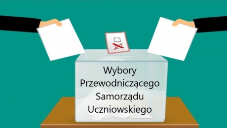 Wyniki wyborów