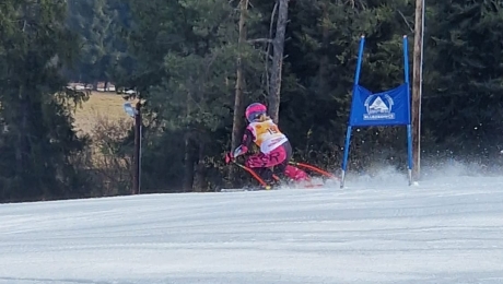 Wojewódzkie Igrzyska Dzieci i Młodzieży Szkolnej w narciarstwie alpejskim